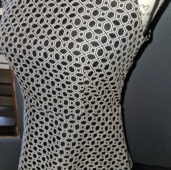 Banana Republic Womans Sleeveless Blouse Size 2 - Picture 2 of 13